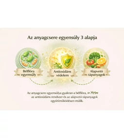 Hogyan indítsuk újra az anyagcserét természetesen?