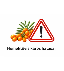 Homoktövis káros hatásai – veszélyes lehet?