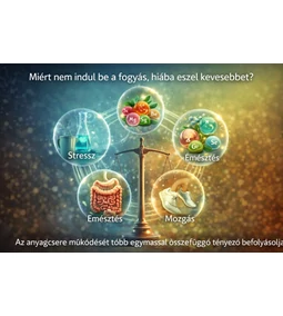 Miért nem indul be a fogyás, hiába eszel kevesebbet?