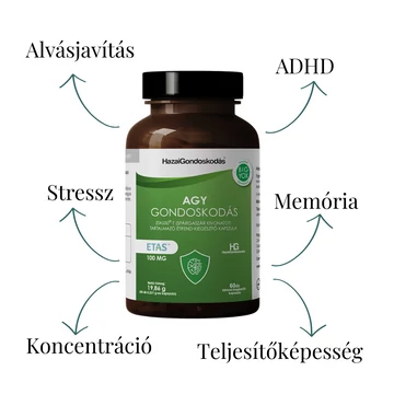 Agy Gondoskodás 