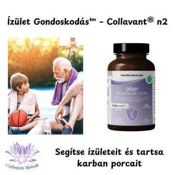  Ízület Gondoskodás