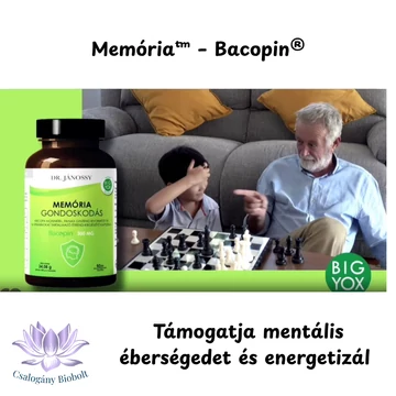 Memória Gondoskodás