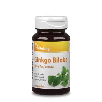 Ginkgo Biloba 60mg (90)