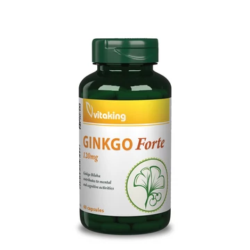 Ginkgo Biloba Forte 120mg (60)