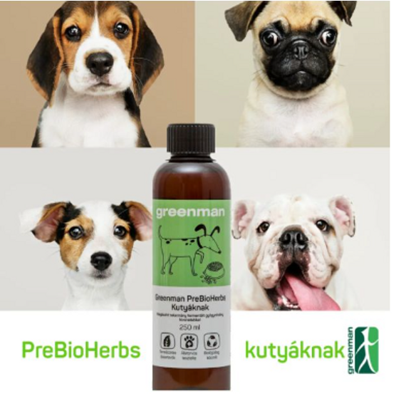 Természetes élőflórás probiotikum kutyáknak gyógynövény kivonatokkal